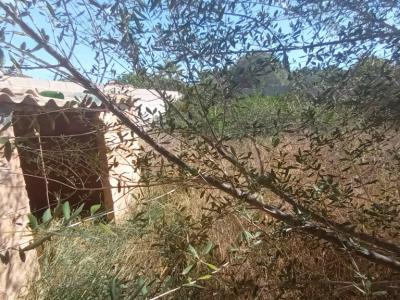 Plot in a central location with a large storage room in Es LLombards --- S 13