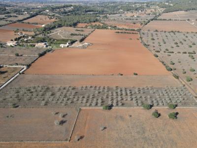 Grundstück zu verkaufen in Disseminatado Primera Volta