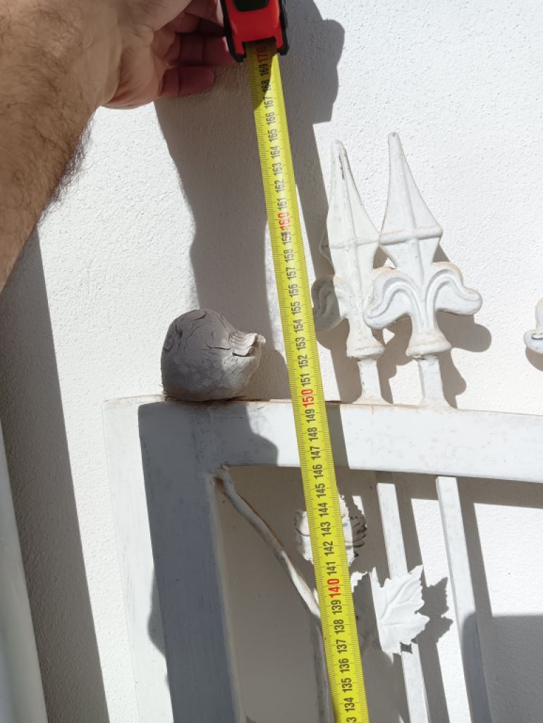 Puerta de hierro fundido