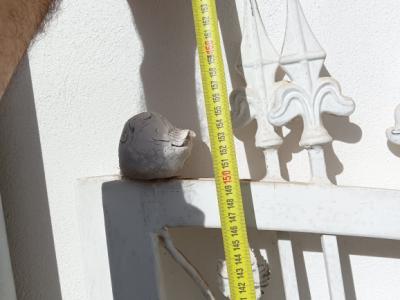 Puerta de hierro fundido