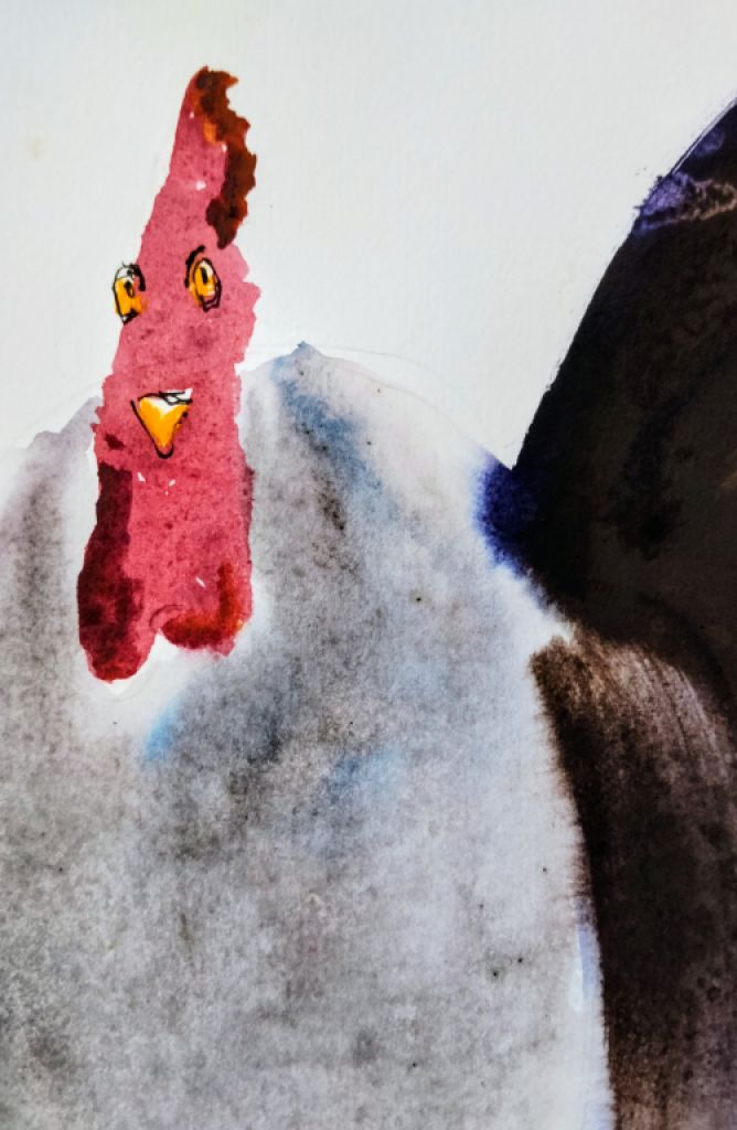 Gallo en acuarela