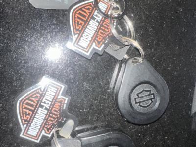 Harley Davidson Forty-Eight