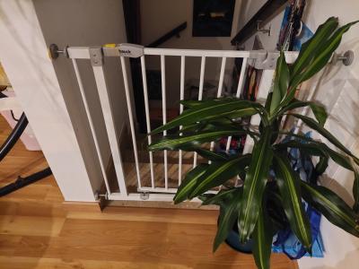 Hauck Treppenschutzgitter / Türschutzgitter Stop N Safe 2