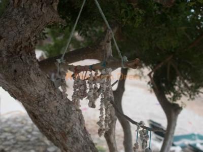 Haus direkt am Strand in Cala Bona