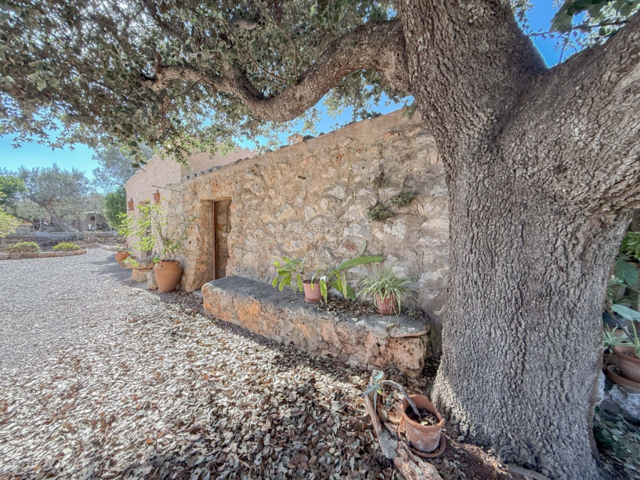 Casa o chalet independiente en venta en Cala Llombards. Ref. Baes-1038