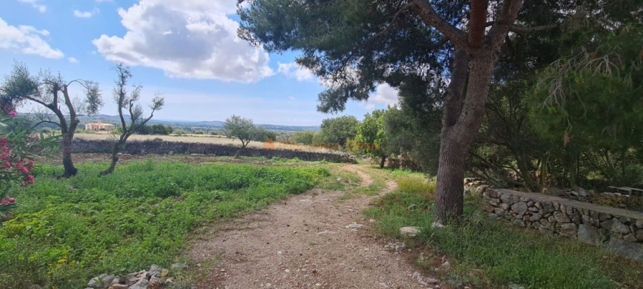 Haus zum Verkauf in einer sehr ruhigen Gegend 4 km von Sant Llorenç entfernt