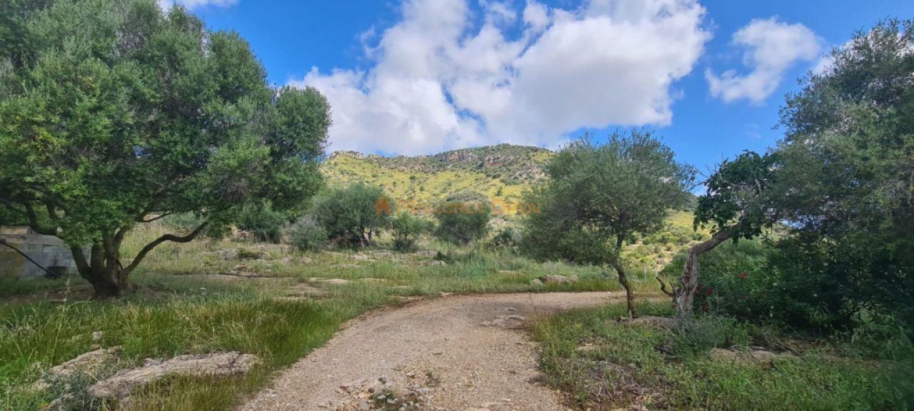 Haus zum Verkauf in einer sehr ruhigen Gegend 4 km von Sant Llorenç entfernt