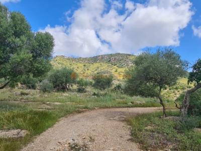 Haus zum Verkauf in einer sehr ruhigen Gegend 4 km von Sant Llorenç entfernt