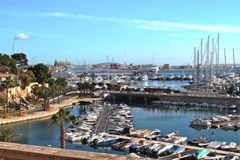 Bright apartment with communal pool in Palma - Port - Can Barbara -- AP 11