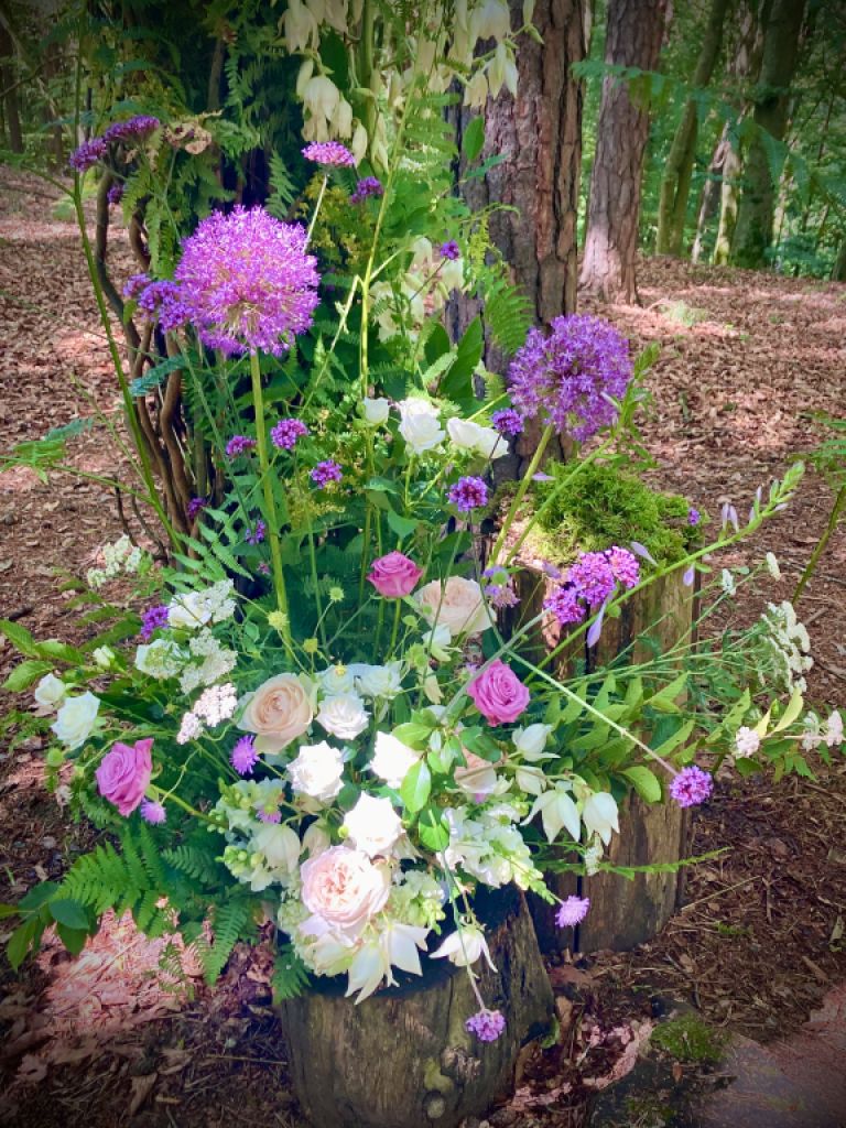 ¿Se desea cuidar la casa para la temporada 2026?