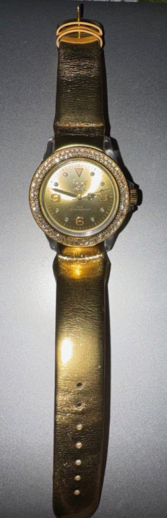 Ice Watch Damen