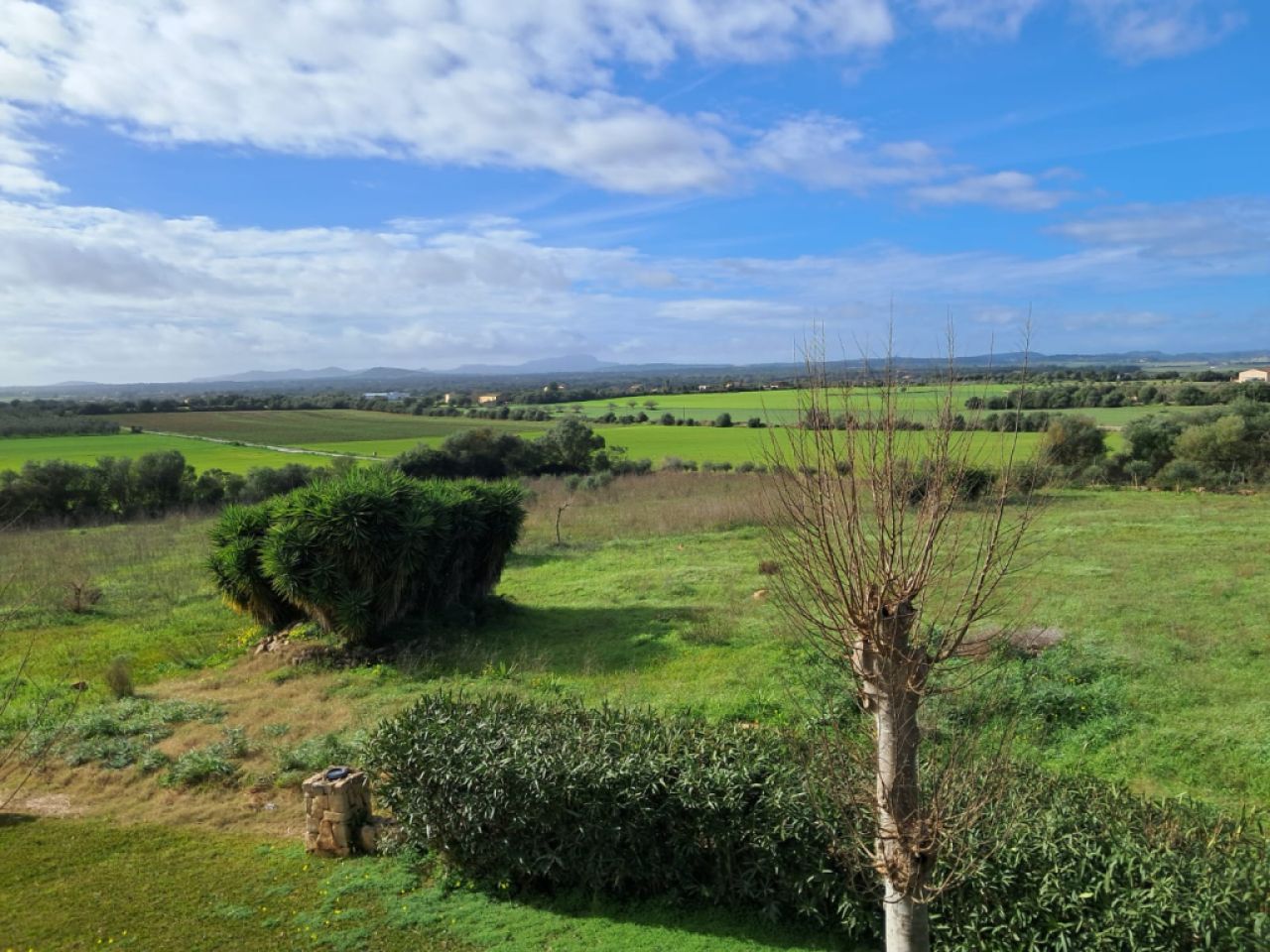 Imposante Finca mit Gästetrankt, Heizung, Pool bei Felanitx - Petra -- F 64