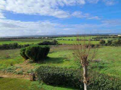 Imposante Finca mit Gästetrankt, Heizung, Pool bei Felanitx - Petra -- F 64