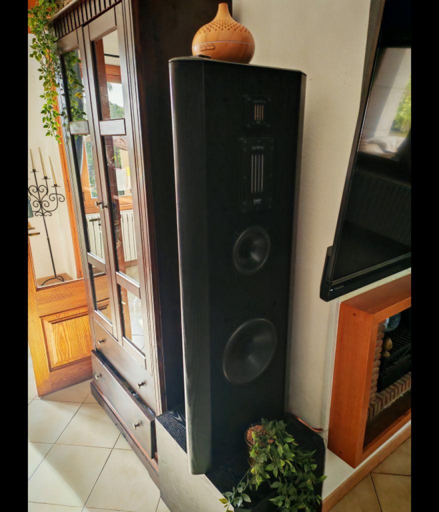 Altavoz de gama alta Infinity Renaissance 90