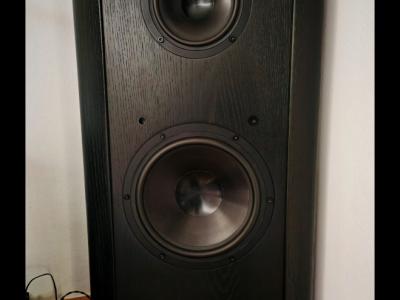 Altavoz de gama alta Infinity Renaissance 90