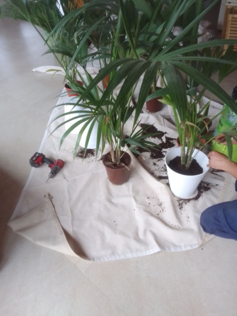 Instandhaltung von Immobilien Mallorca