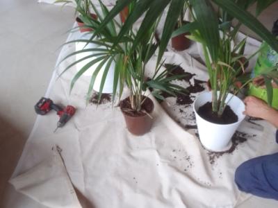 Instandhaltung von Immobilien Mallorca