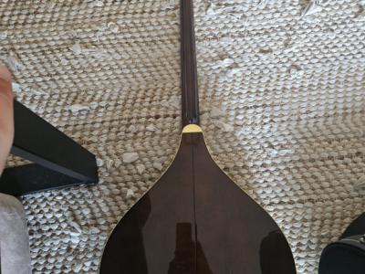 Irish Bouzouki – Tennessee – mit Hardcase