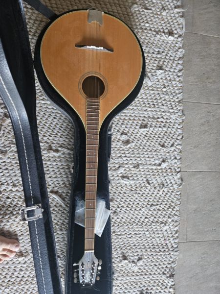Irish Bouzouki – Tennessee – mit Hardcase