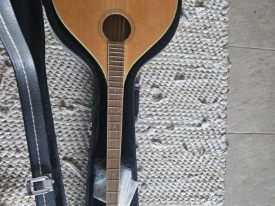 Irish Bouzouki – Tennessee – mit Hardcase