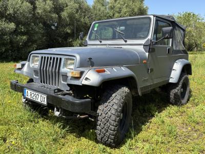 Jeep Wrangler, el vehículo perfecto para la isla