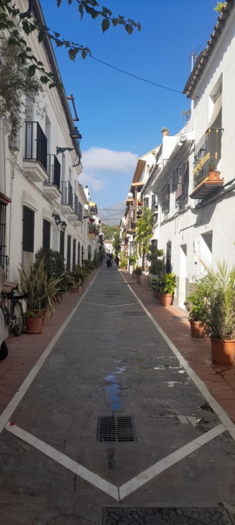 Yegua joven árabe - Appaloosa