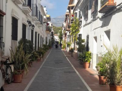 Yegua joven árabe - Appaloosa