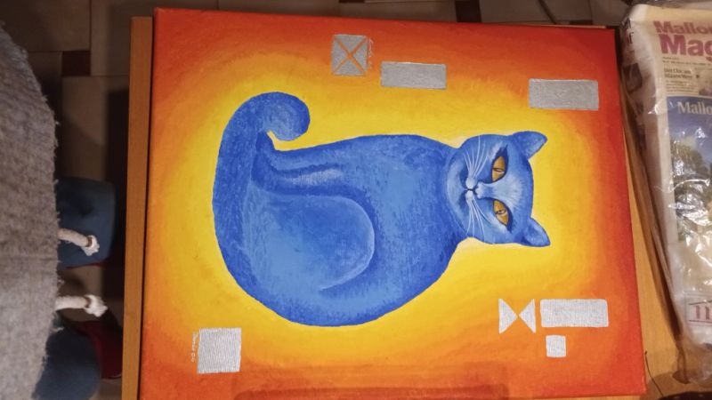 Katzenbild in Orange