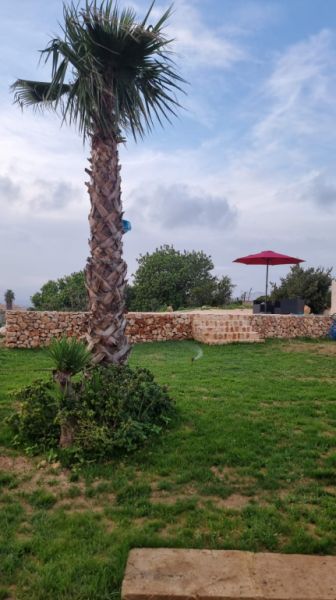 Completely restored mill for sale between Cas Concos and Felanitx