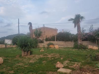 Completely restored mill for sale between Cas Concos and Felanitx