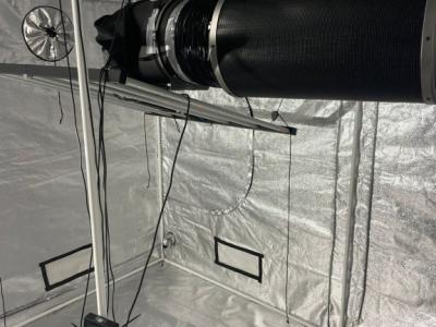 Komplette Grow-Anlage zu verkaufen (ohne Zelt)