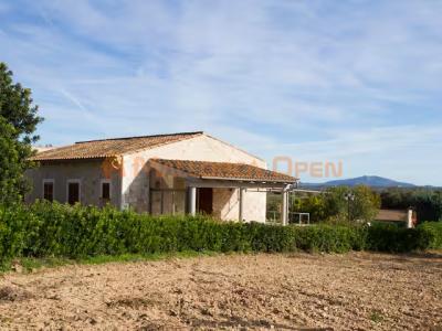 Villa rural en alquiler – Privacidad absoluta en el corazón de Mallorca