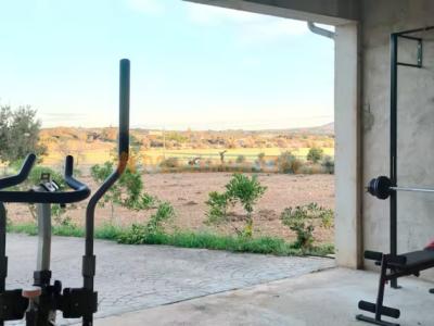 Villa rural en alquiler – Privacidad absoluta en el corazón de Mallorca