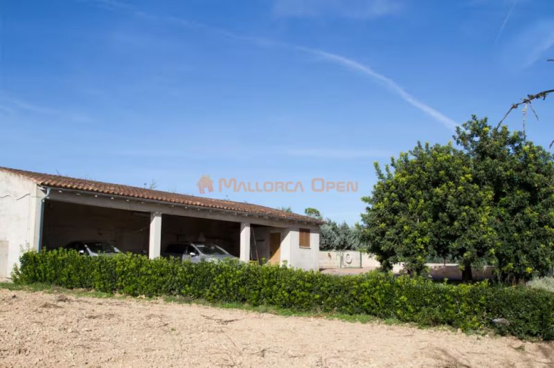 Villa rural en alquiler – Privacidad absoluta en el corazón de Mallorca