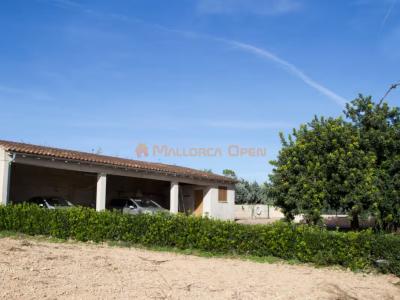 Villa rural en alquiler – Privacidad absoluta en el corazón de Mallorca