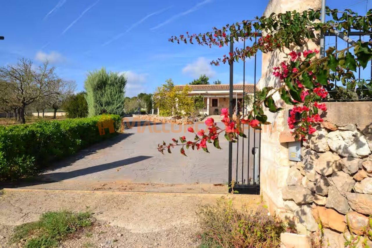 Villa rural en alquiler – Privacidad absoluta en el corazón de Mallorca