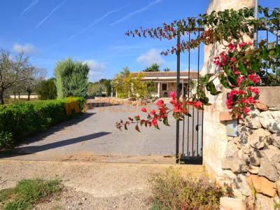Villa rural en alquiler – Privacidad absoluta en el corazón de Mallorca
