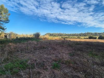 Terreno rústico en venta – Término municipal de Petra