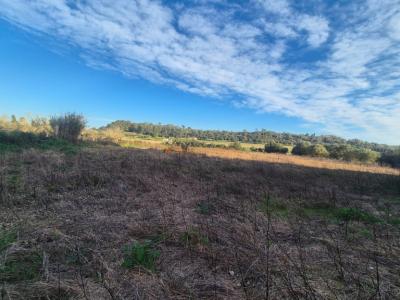 Terreno rústico en venta – Término municipal de Petra