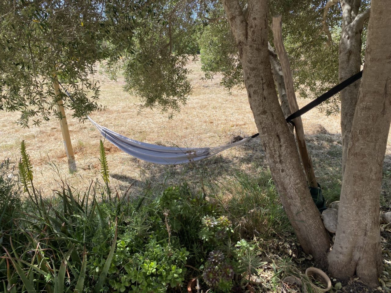 Landhaus nahe Inca für Urlaub & Workation