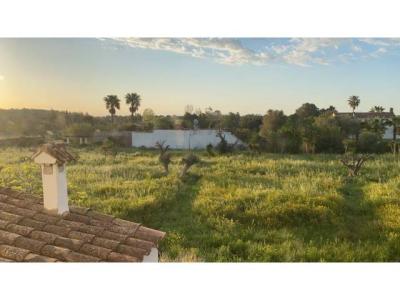 Landhaus nahe Inca für Urlaub & Workation