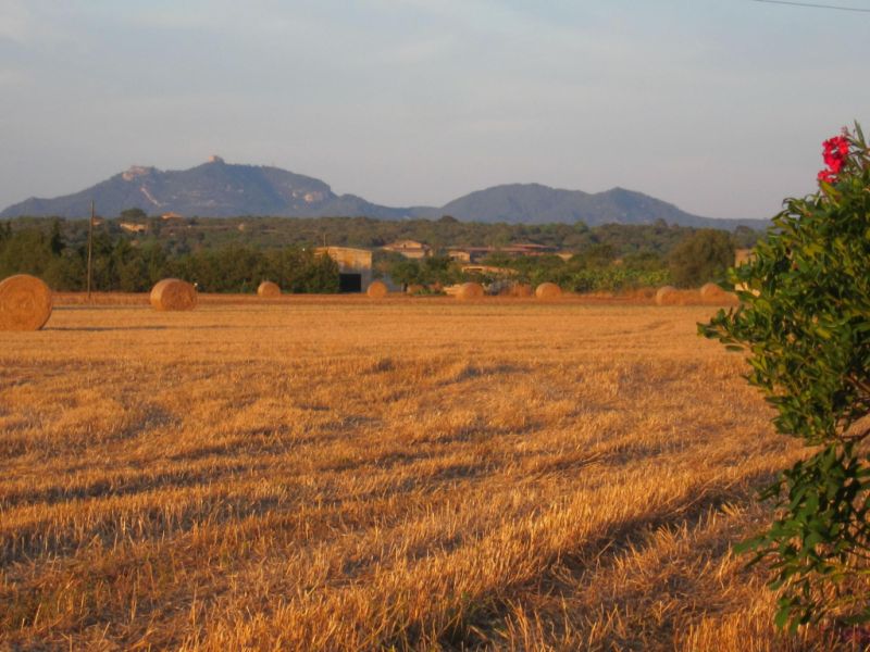 Langzeit/Überwintern Mallorca Pool Finca 2 Pers Ferienhaus Campos