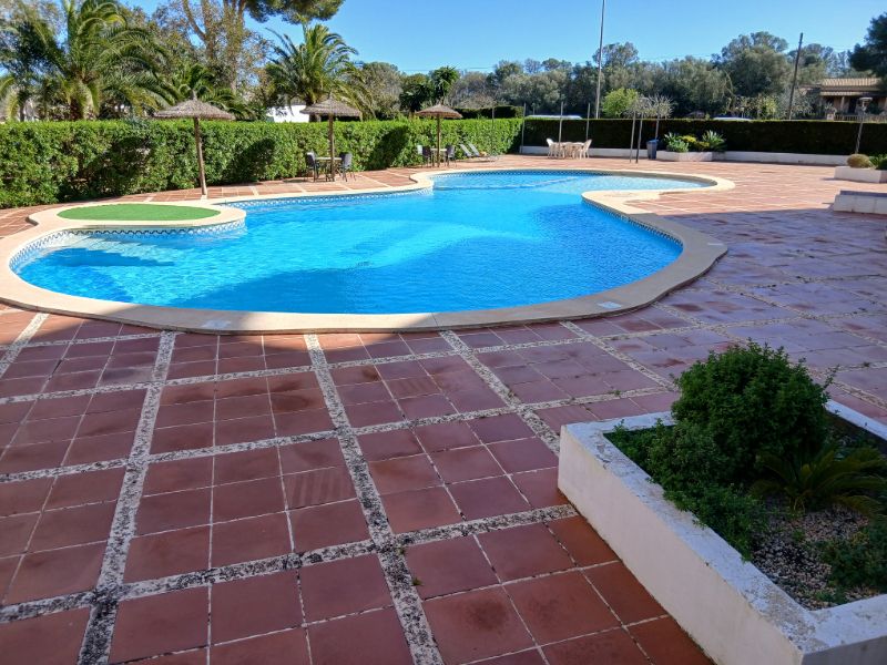 Las Palmeras / LLucmajor