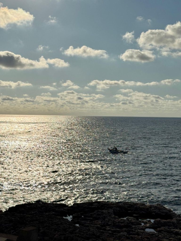 Lichtdurchflutete Wohnung in 1. Meereslinie in Portocolom