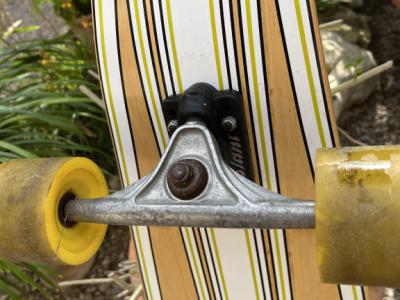 Longboard de la marca Globe (Y es realmente largo en mi opinión)