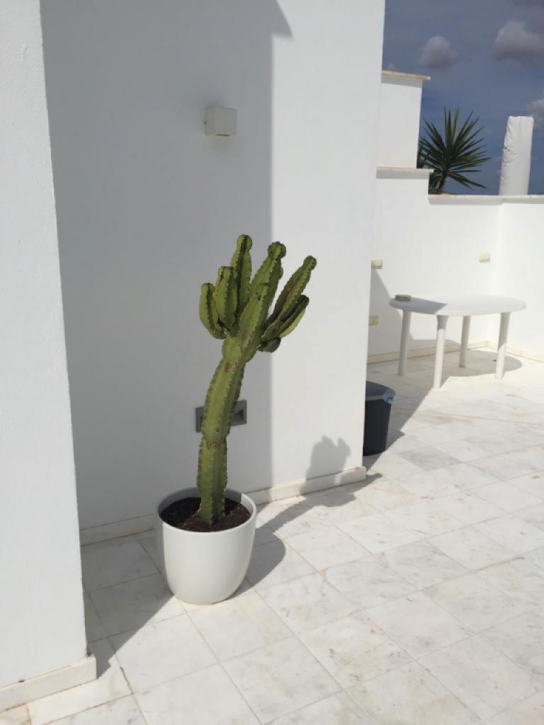 Se vende ático de lujo en Porto Cristo