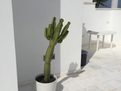 Se vende ático de lujo en Porto Cristo