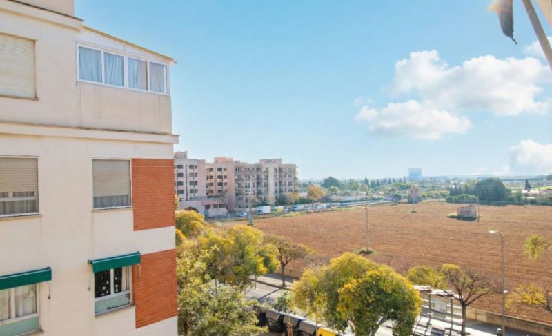 Mallorca - Apartamento urbano exclusivo con amplia distribución en Palma