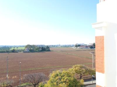 Mallorca - Apartamento urbano exclusivo con amplia distribución en Palma