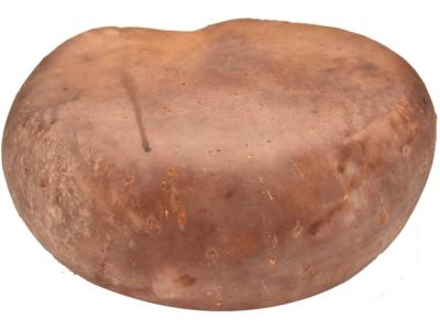 Mangalica manteca de cerdo completamente envasada al vacío